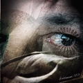 Eyes wide shut | Iphoneography | ph. G. Beltrame ©